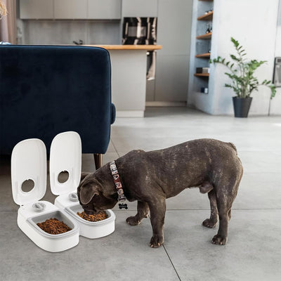 Futterautomat für Katzen, 2 Mahlzeiten Automatischer Futterspender Hunde Katze mit 48 Stunden Timer,