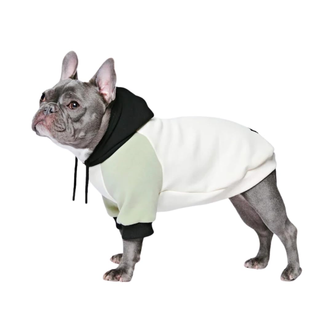 Spark Paws Hunde Hoodie Sweatshirt Pullover - Premium Qualität, weich, Komfortabel und passend für g