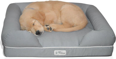PetFusion Ultimate Solid 2,5 "Memory Foam Haustierbett für kleine Hunde und Katzen (25 x 20 x 5,5" o