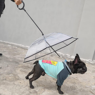 PETLESO Haustier Regenschirm mit Verstellbarem Griff für Welpen, Klarer Regenschirm für Haustiere mi