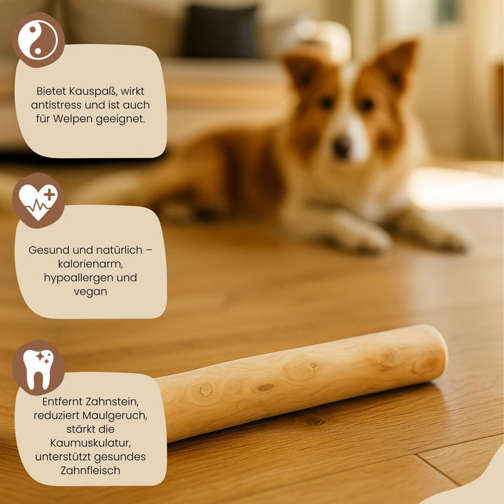 PetLove Kaffeeholz für Hunde • Kauholz Hund als Hundespielzeug &amp; Zahnpflege • Holzknochen für Hund •