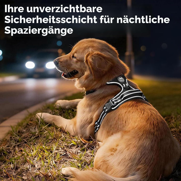 PoyPet No Pull Hundegeschirr, reflektierendes Westengeschirr mit 2 Leinenbefestigungen und einfachem