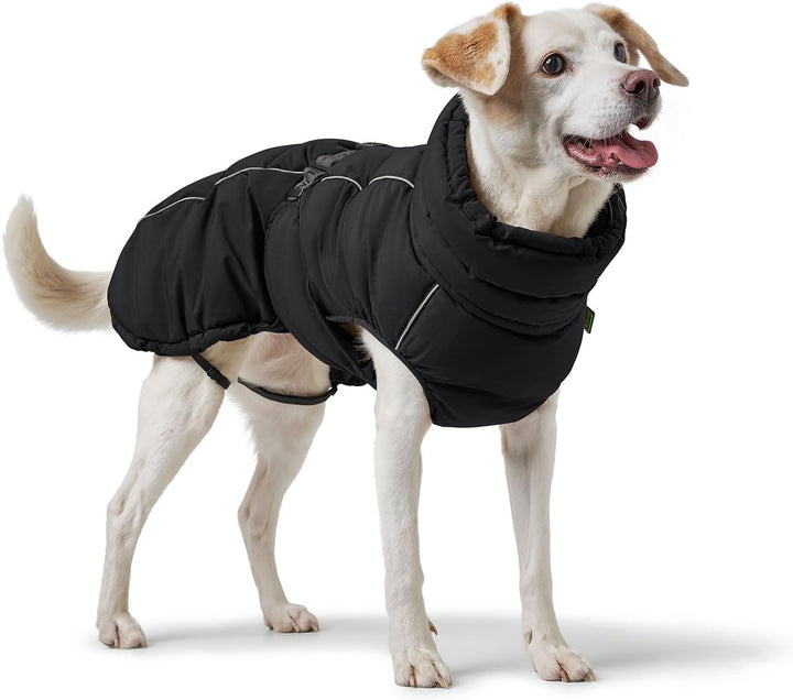 HUNTER Hundemantel Paxson, Farbe: schwarz, stylischer Puffermantel, wasserabweisend, reflektierende