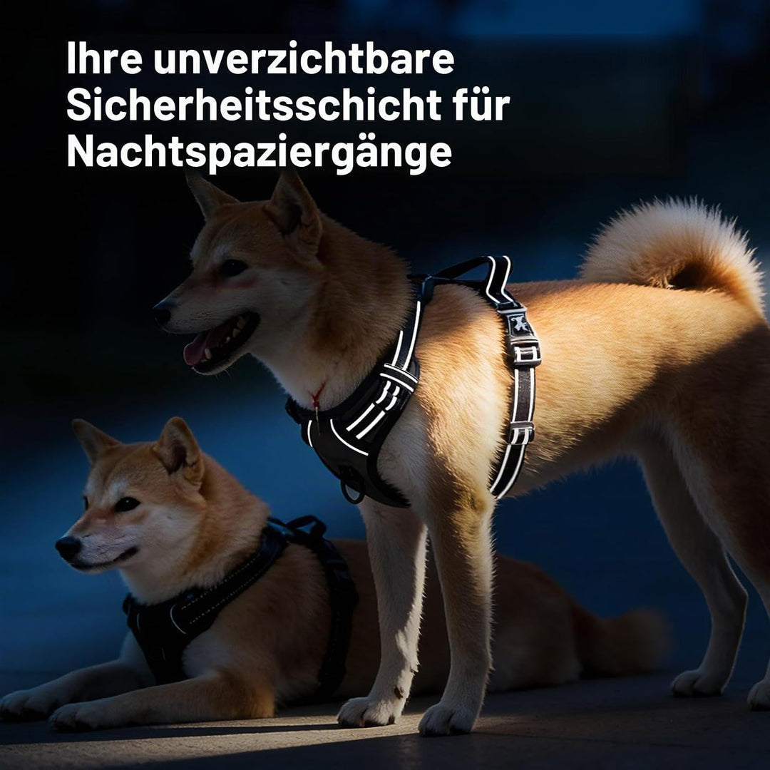 PoyPet No Pull Hundegeschirr, reflektierendes Westengeschirr mit 2 Leinenbefestigungen und einfachem