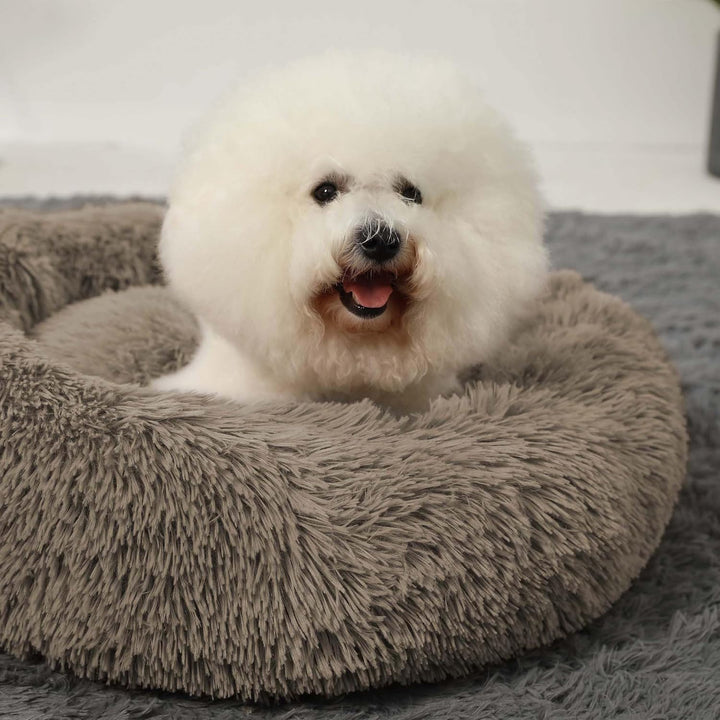 HACHIKITTY Hundebett, beruhigendes Donut-Kuschelbett, mittelgrosse Hundebetten, flauschig, beruhigen