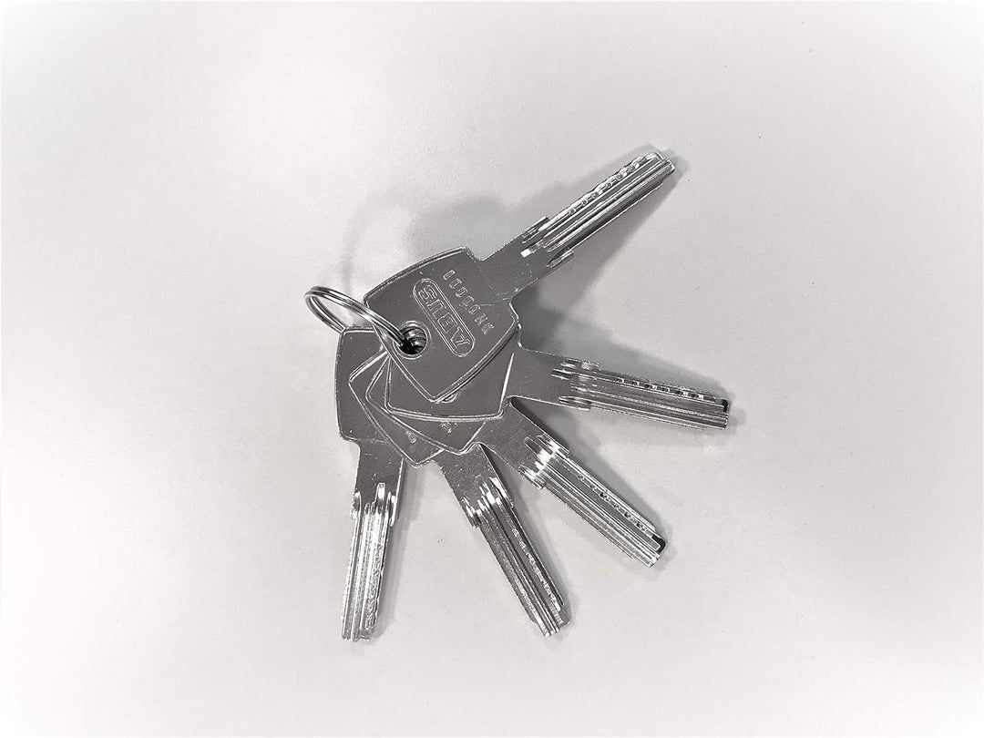 ABUS Cylindre KD6PSN Z70/K30 Bkn 70+30 Vernickeltes Messing, 70+30 Vernickeltes Messing