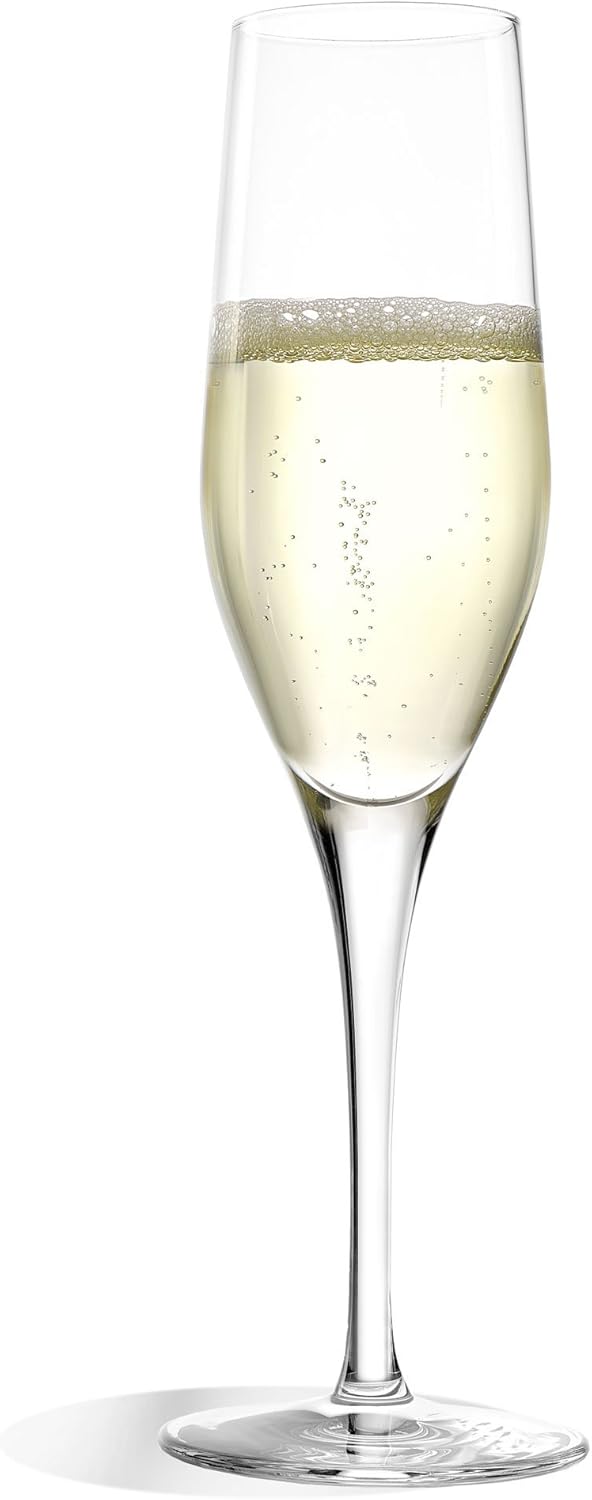 Stölzle Lausitz Exquisit Sektkelche 175ml I Edle Champagnergläser 6er Set I Schaumweingläser 6 Stück