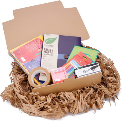 100 Faltschachteln Braun | 365 x 300 x 95mm - WP M | Versandkarton DHL Karton Hermes DPD GLS Verpack