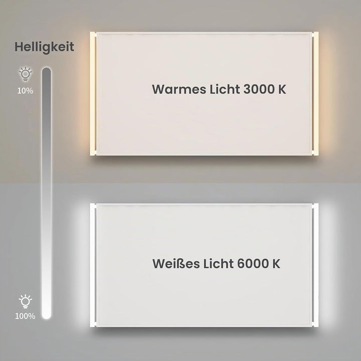 Infrarotheizung Deckenmontage 440W, Infrarot Deckenheizung mit LED Licht Beleuchtung Kaltweiss/Warmw