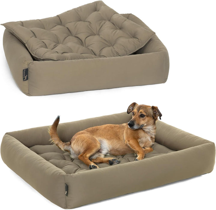 Doctor Bark Pointer | Hundebett mit Hundekissen - orthopädisch, waschbar, bequem (M - 70x60 cm, Beig