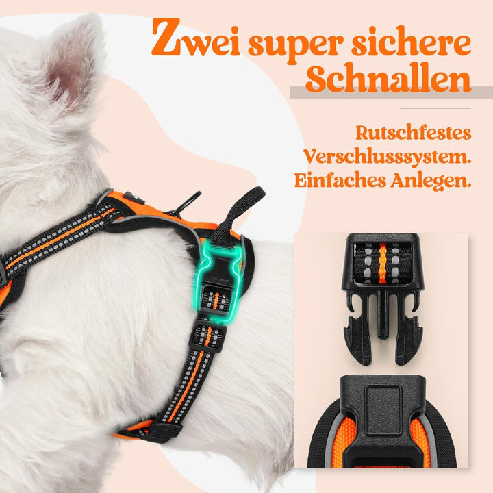 rabbitgoo Hundegeschirr Kleine Hunde, Anti Zug Geschirr mit Kontrolle, No Pull Verstellbar Hundegesc