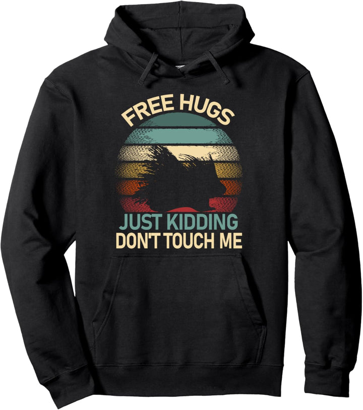 Free Hugs Just Kidding Don't Touch Me Pullover Hoodie