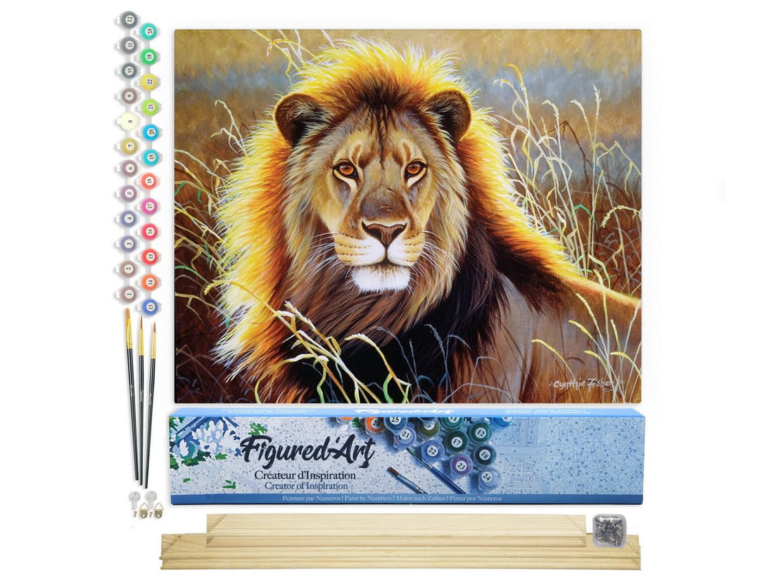 Figured'Art Malen Nach Zahlen Erwachsene Mit Rahmen Löwe in der Savanne - Paint by Numbers Basteln D