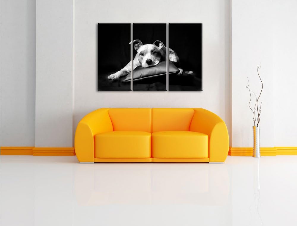 Pixxprint Monocrome, Dark Süsser American Staffordshire 3-Teiler Leinwandbild 120x80 Bild auf Leinwa