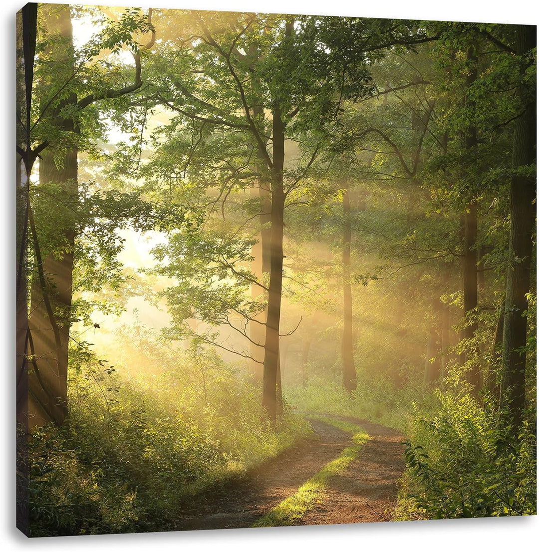 Waldweg im Winter, Format: 70x70 auf Leinwand, XXL riesige Bilder fertig gerahmt mit Keilrahmen, Kun