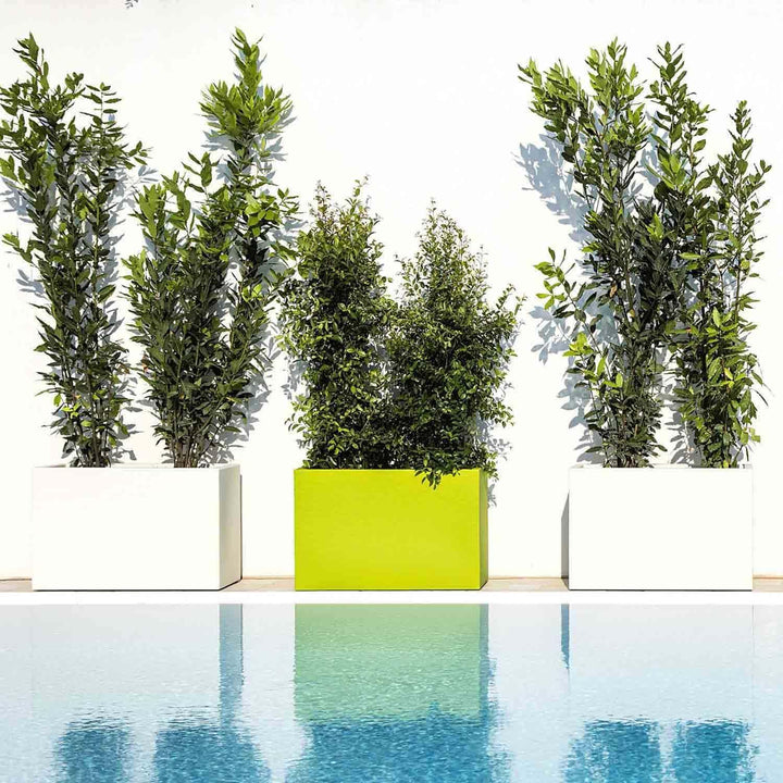 Tekcnoplast Flowerpot 80 x 35 cm, Höhe 50 cm, Weiss CM 80x35 H 55 Bianco, CM 80x35 H 55 Bianco