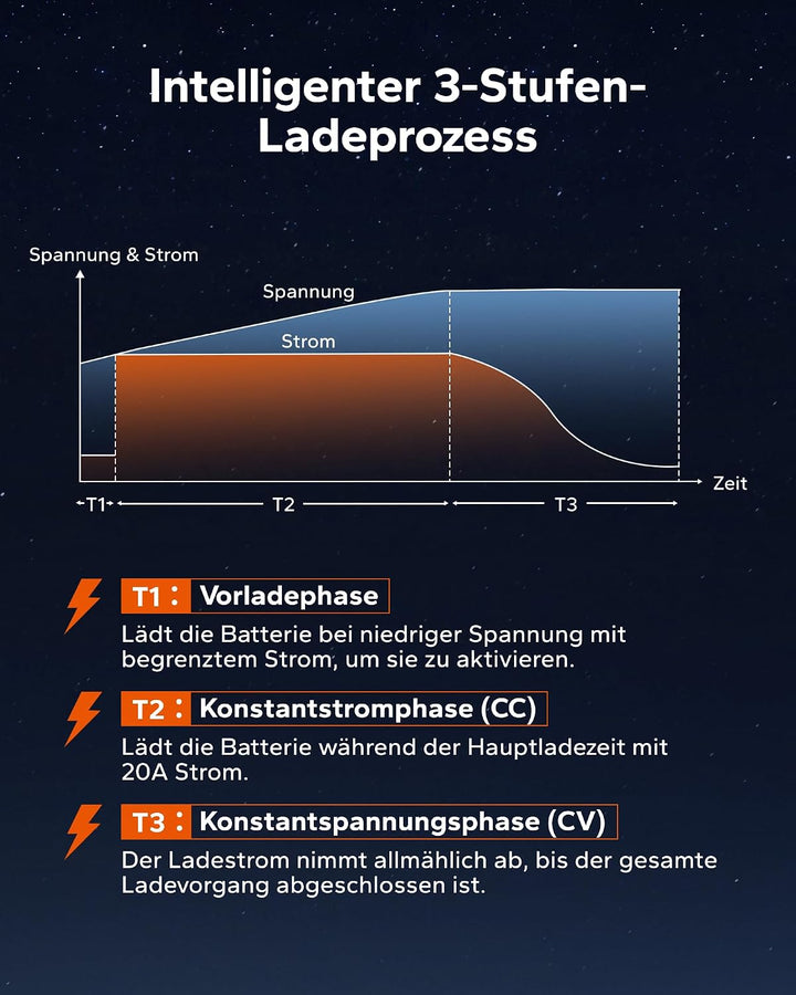 LiTime 24V 20A Lithium-Batterieladegerät, Mini-Grösse, 29,2 V Ausgang AC-DC