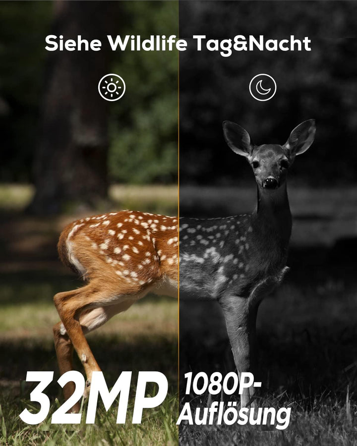 iZEEKER Wildkamera 32MP HD, Wildtierkamera mit 940nm No Glow Infrarot LEDs, Wildkamera mit Bewegungs