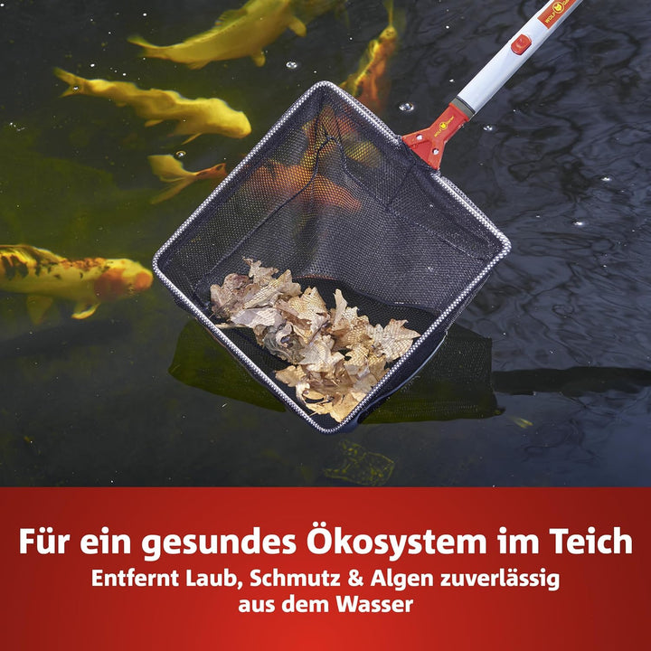 WOLF Garten WOLF-Garten multi-star - Kescher WK-M Gartenwerkzeug, Rot, 30x30 cm Single, Single