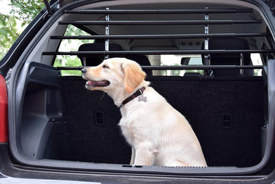 dobar® 62200 Walky Barrier Trenngitter Universal Umklappbar- Kofferraum Hundegitter - Auto Transport