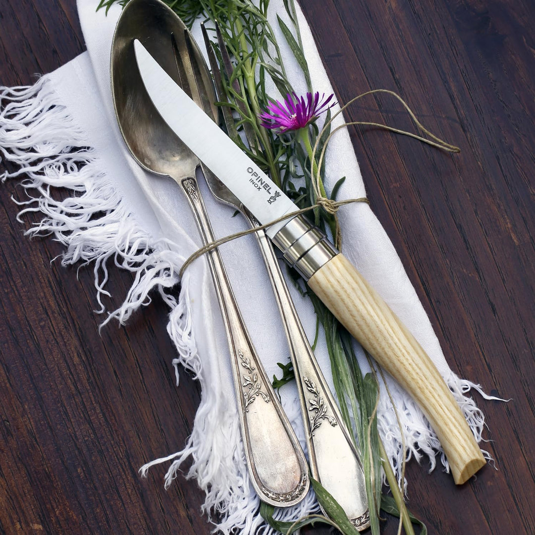 Estuche de 4 cuchillos de mesa FRESNO (hoja pulida)