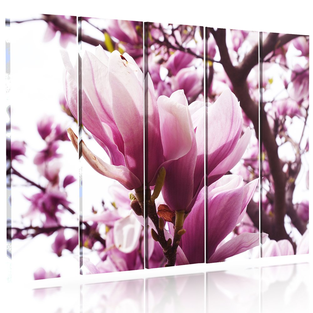 Feeby Frames, Leinwandbild, Bilder, Wand Bild - 5 Teile - Wandbilder, Kunstdruck, 250x120 cm, Typ C,