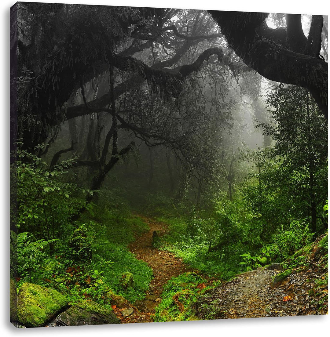 Pixxprint Mystischer Regenwald als Leinwandbild Quadratisch/Grösse: 70x70 / Wandbild/Kunstdruck/fert