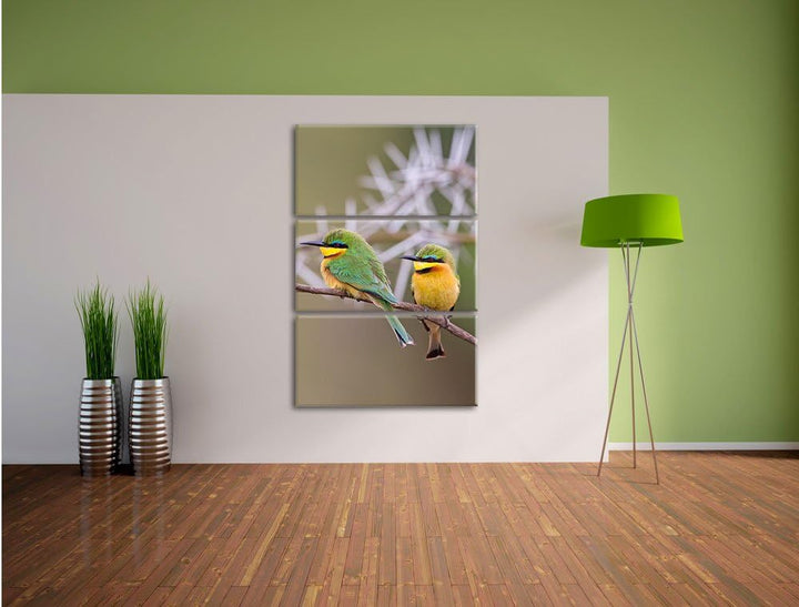 Pixxprint Vögel auf AST als Leinwandbild/Grösse: 3 Teilig (120x80) cm/Wandbild/Kunstdruck/fertig bes