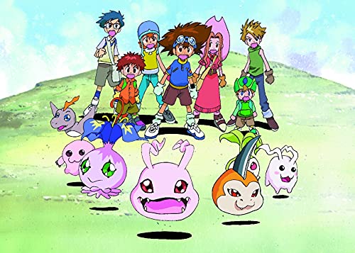 Digimon Adventure - Staffel 1.1 (Ep. 1-18) (2 Blu-rays), Blu-ray