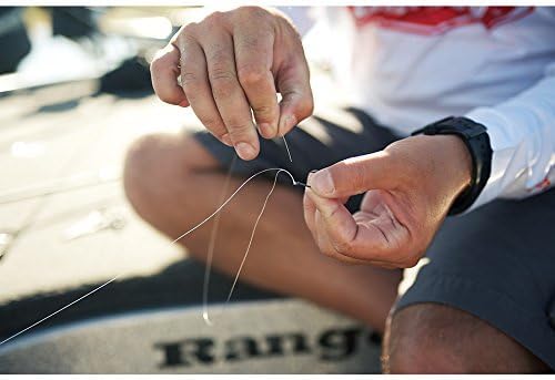 Berkley Big Game Trilene Monofilament Individuelle Spool 8 Pound Test-1700 Yard grün, 8 Pound Test-1