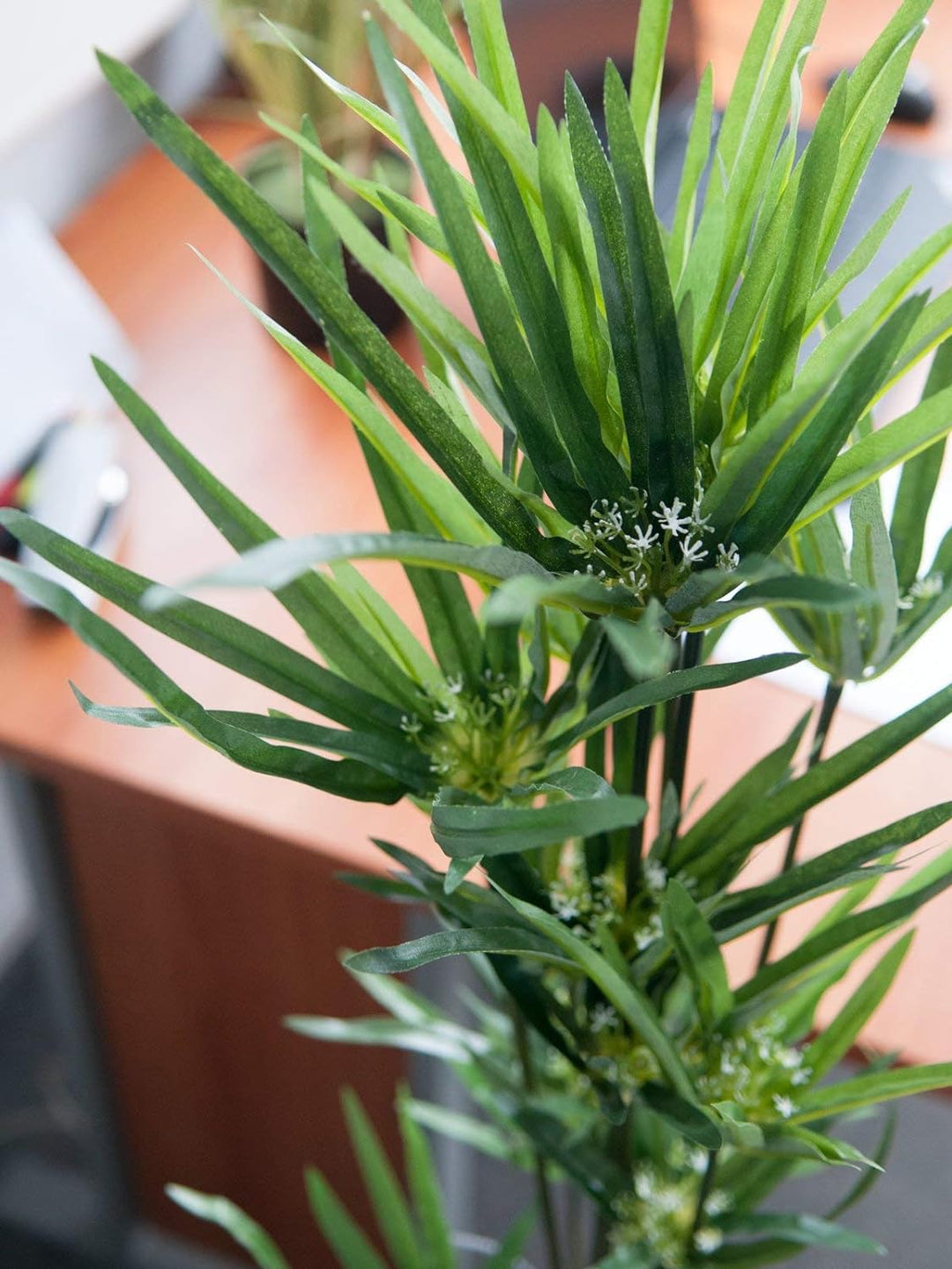 EUROPALMS Zyperngras, künstlich,76cm | Tolle Deko in Wohn- und Geschäftsräumen