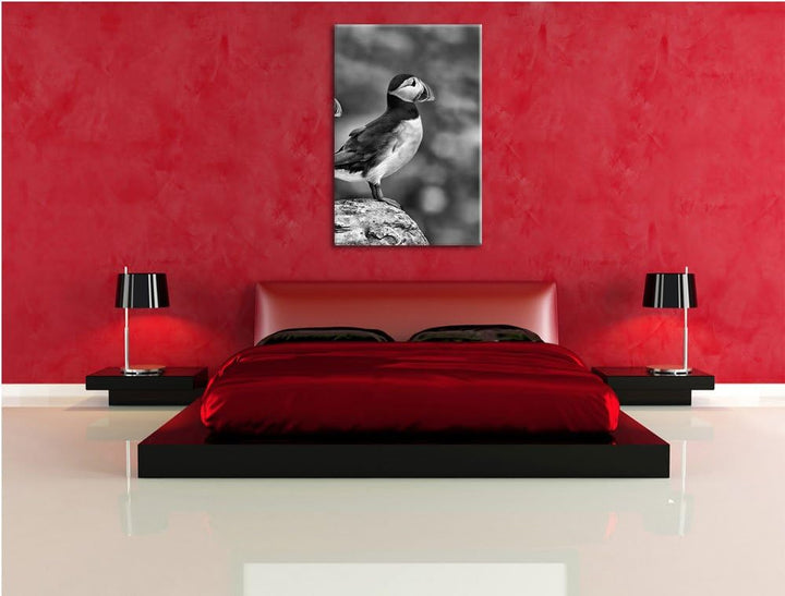 Pixxprint Papageitaucher Familie auf Felsen als Leinwandbild/Grösse: 100x70 / Wandbild/Kunstdruck/fe