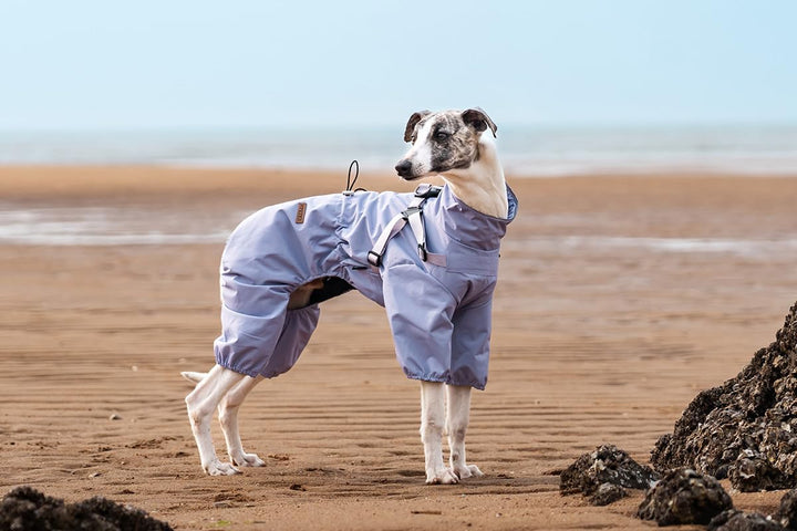 Hundegeschirr-Regenmantel, Verstellbare 4-Bein-Hundejacke mit Geschirr Reflektierender Overall Wasse