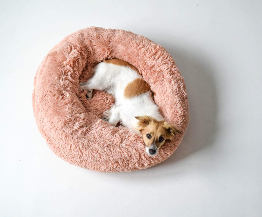 Sogni e capricci Hundebett Dreams, Rosa, 60x60x26 cm 60x60x26 cm Pink, 60x60x26 cm Pink