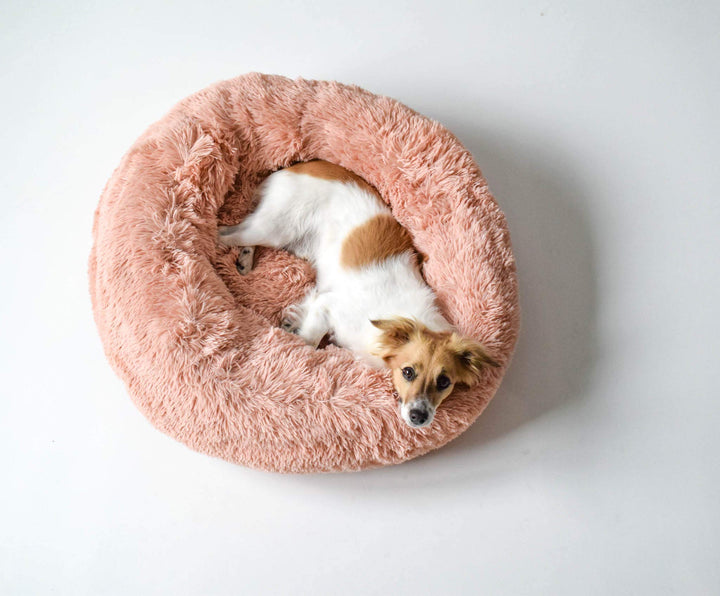 Sogni e capricci Hundebett Dreams, Rosa, 60x60x26 cm 60x60x26 cm Pink, 60x60x26 cm Pink