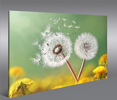 islandburner Bild Bilder auf Leinwand Pusteblume V2 Natur Blumen 1p XXL Poster Leinwandbild Wandbild