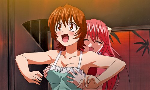 Elfen Lied - Die komplette Serie (2 Blu-rays), Blu-ray