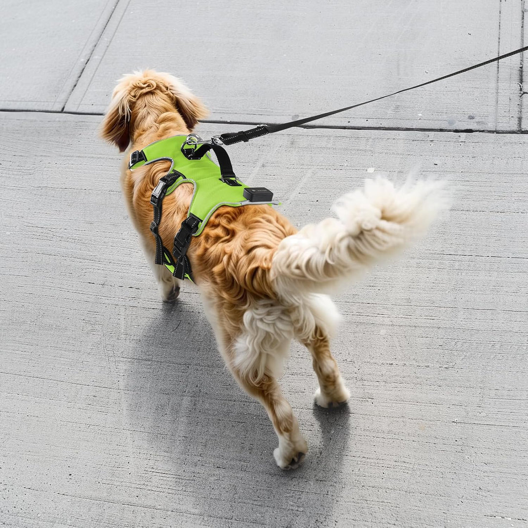 Jewyow Hundegeschirr Leuchtend, Wiederaufladbare LED Hundegeschirr, Led Geschirr für Hunde mit Weich