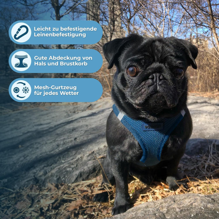 Best Pet Supplies Voyager Step-In Air Hundegeschirr – Allwetter-Netzgewebe für kleine und mittelgros