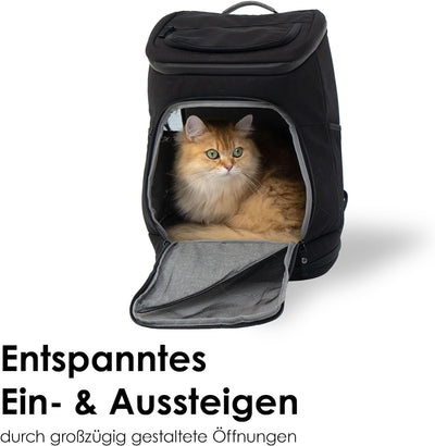 LucyBalu® HOP-ON Premium Katzenrucksack mit Fenster | Katzentransporttasche | Katzenbox | Katzen Tra