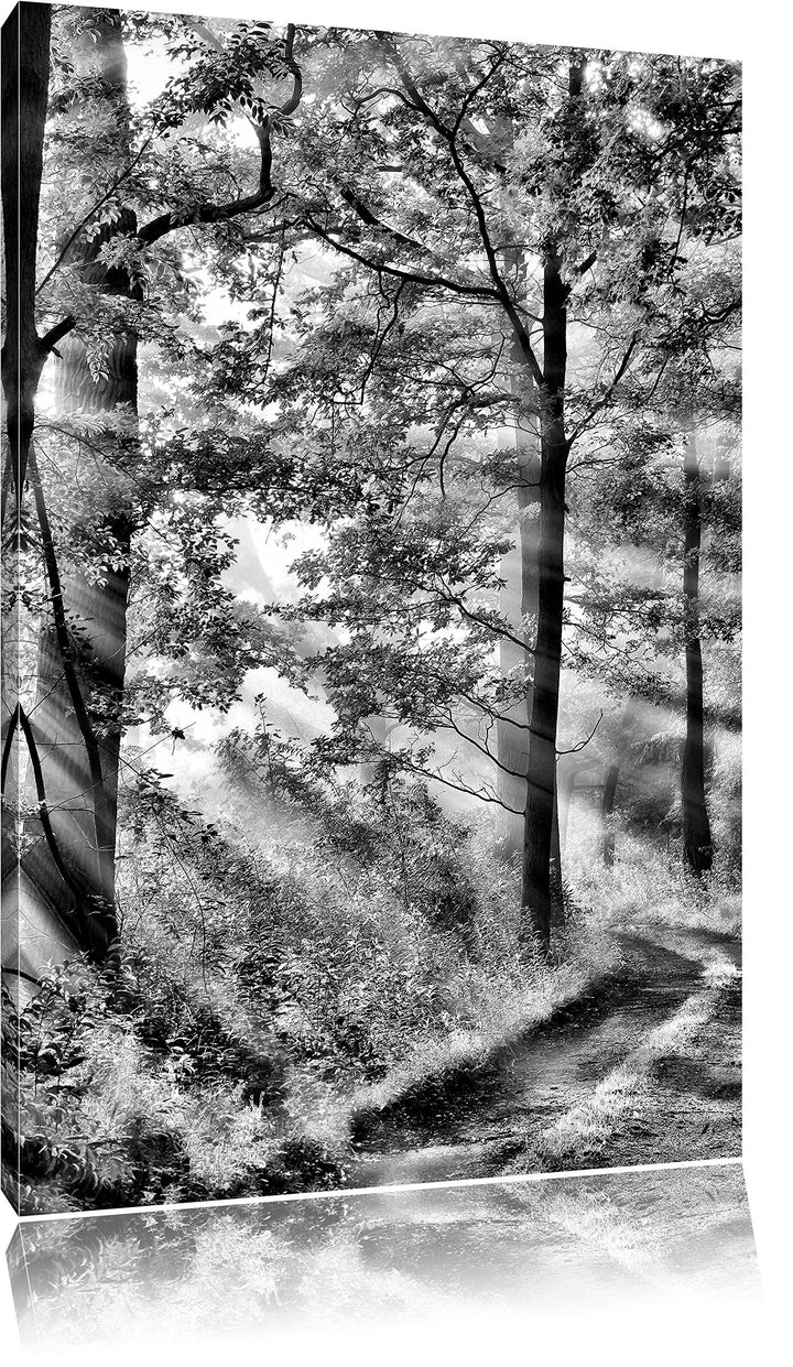 Pixxprint Waldweg / 100x70cm Leinwandbild bespannt auf Holzrahmen/Wandbild Kunstdruck Dekoration, 10