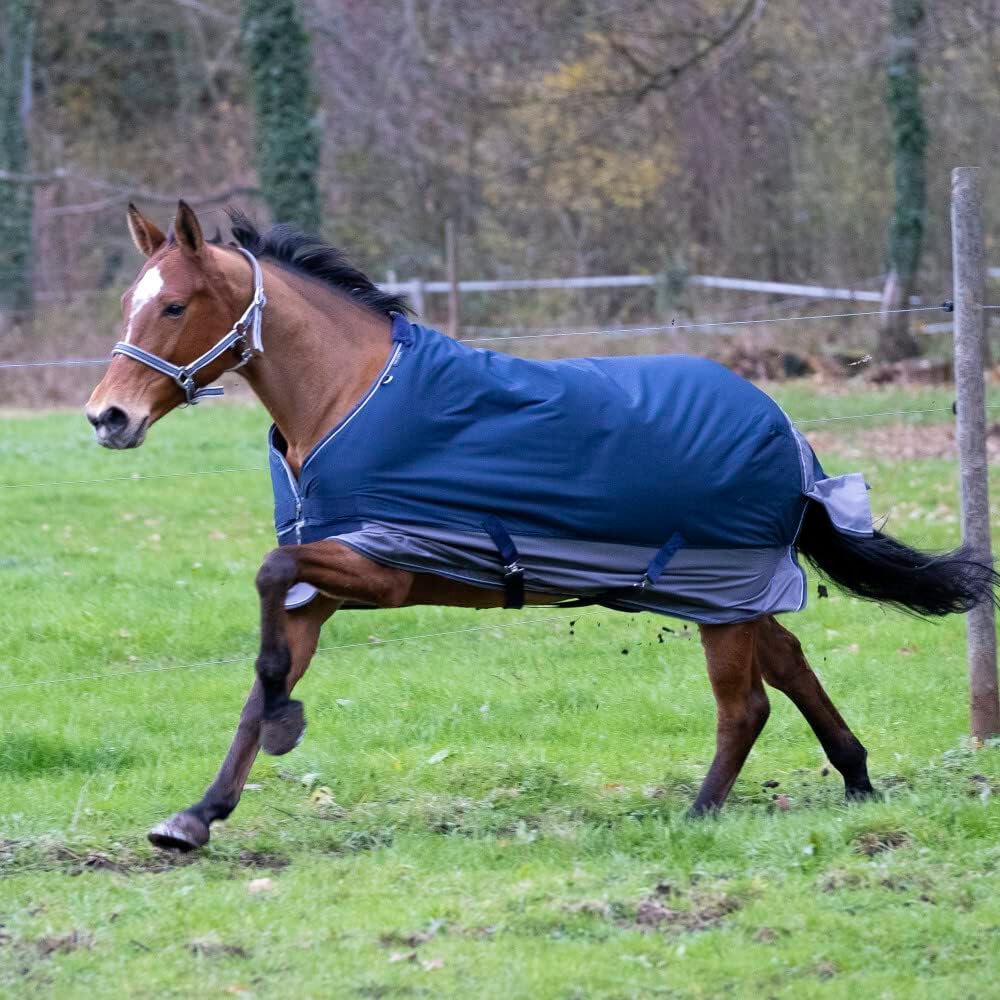 Equi-Theme Winterdecke 50g Füllung 600D TYREX Marineblau/grau marineblau/grau 135cm, marineblau/grau