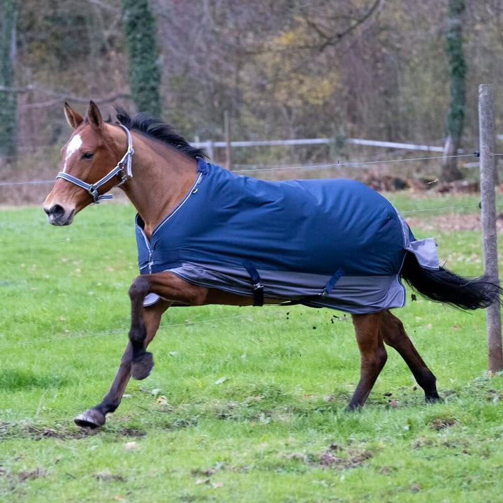 Equi-Theme Winterdecke 50g Füllung 600D TYREX Marineblau/grau marineblau/grau 135cm, marineblau/grau