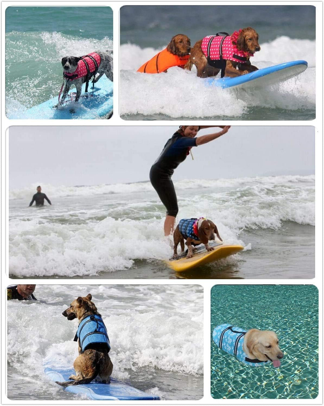 Hund Schwimmweste Schwimmen Sicherheitsmantel Schwimmschwimmweste Lebensretter mit Griff für kleinen