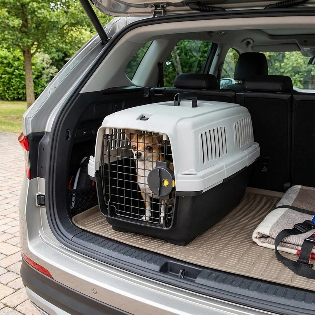 Ferplast Katzentransportbox Clipper 1, Hundetransportbox, IATA-zugelassene Reisebox, Haustiertranspo