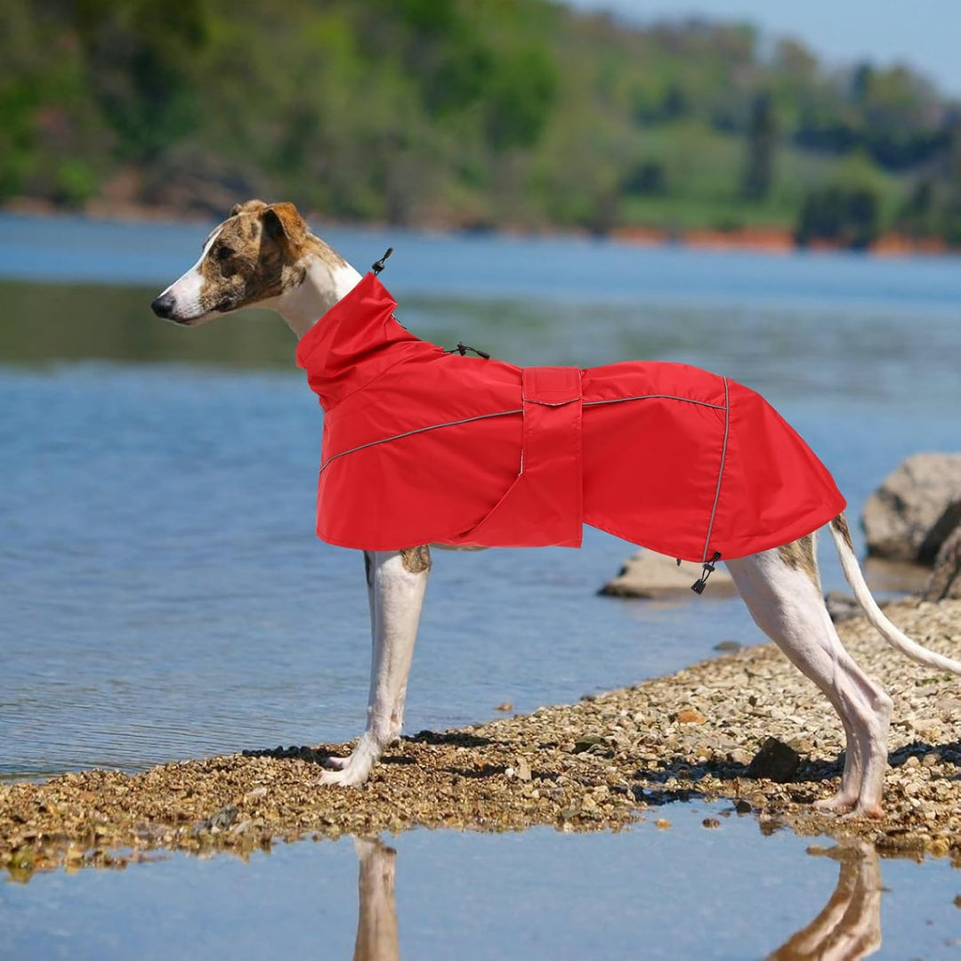 MOREZI Windhund-Regenmantel, regenfest/wasserdicht, hoher Bund mit verstellbarem Kordelzug und Hüftg
