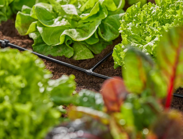 Gardena Micro-Drip-System T-Stück 4,6 mm (3/16 Zoll): Zubehör für die Abzweigung von Verteiler- und