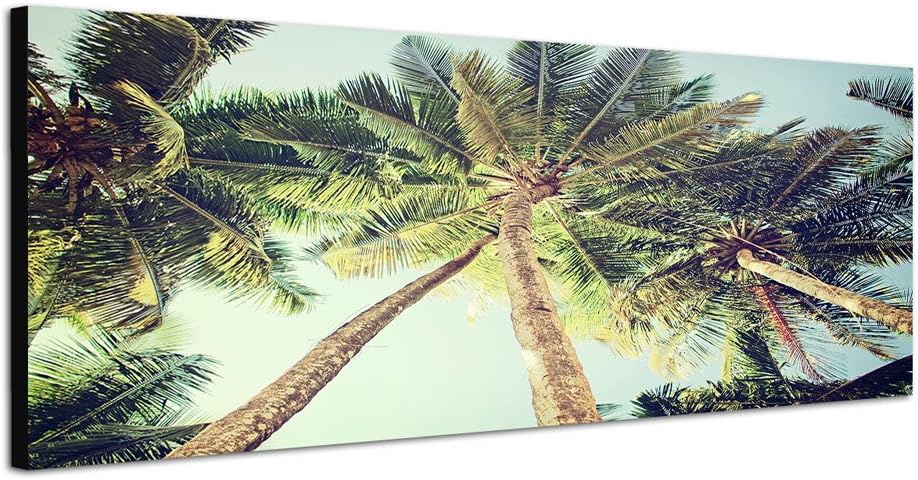 Paul Sinus Art Panoramabild auf Leinwand und Keilrahmen 150x50cm Palmen Himmel Vintage