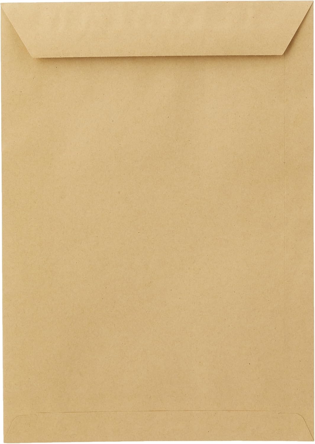 Blake Purely Everyday 13854 Versandtasche Nassklebung Manila C4 324 x 229 mm - 90g/m² | 250 Stück Ma