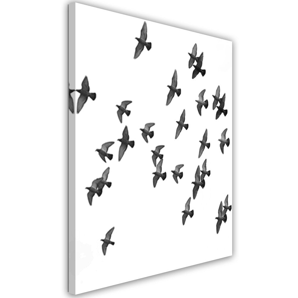 Feeby, Wandbild - 1 Teilig - 50x70 cm, Leinwand Bild Leinwandbilder Bilder Wandbilder Kunstdruck, VÖ